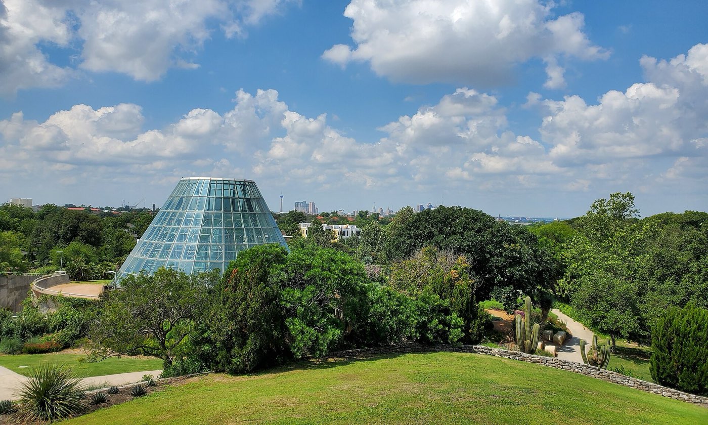 View from the highest point in the San Antonio Botanical Garden